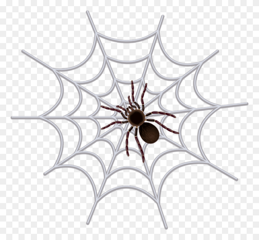 850x785 Tela De Araña Png / Tela De Araña Hd Png