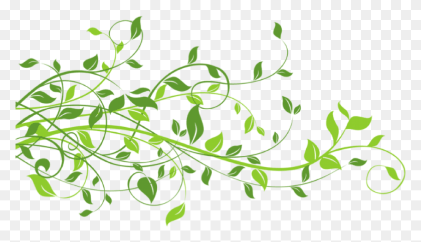 846x459 Free Spring Decor With Leaves Images Leaves Clipart, Leaf, Plant, Floral Design HD PNG Download