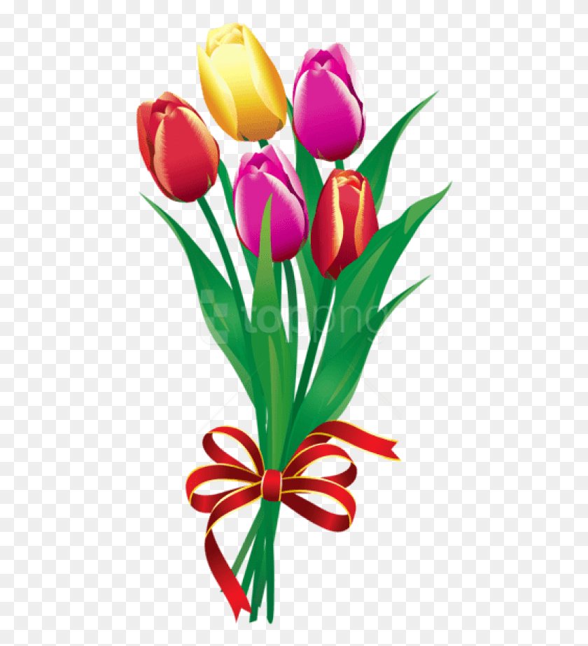 455x863 Free Spring Tulips Bouquetpicture Images Transparent Bouquet Clipart, Plant, Flower, Blossom HD PNG Download