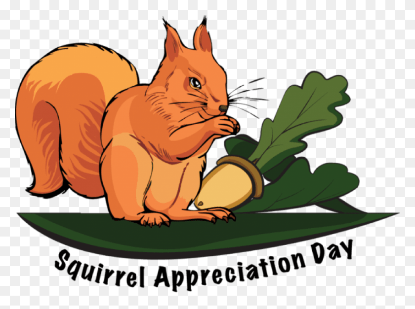Free Squirrel Appreciation Day 2017 Squirrel Clip Art, Tiger, Wildlife, Mammal HD PNG Download
