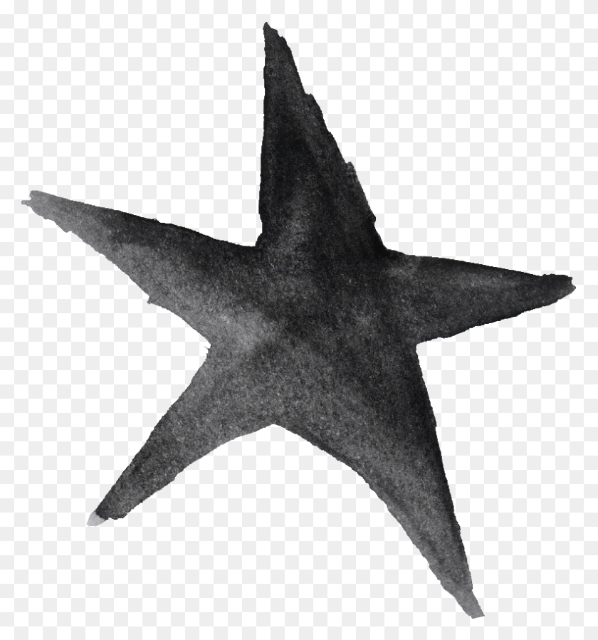 791x851 Free Star Watercolor, Cross, Symbol, Star Symbol HD PNG Download