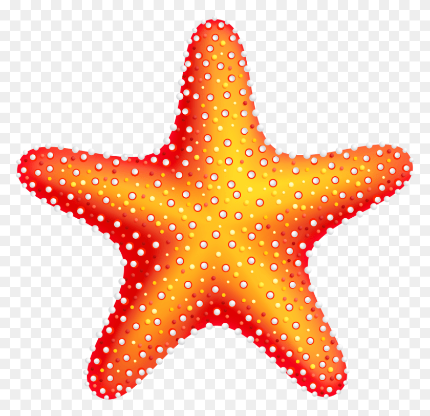 837x807 Free Starfish Images Transparent Starfish Transparente, Vida Marina, Animal, Invertebrado Hd Png Descargar