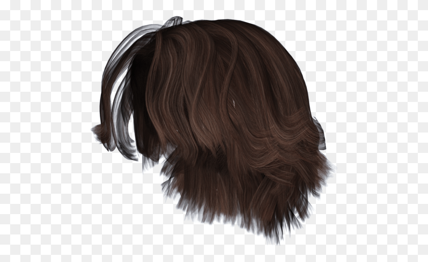 490x454 Free Stock Images Shaggy Hair Transparent Background, Person, Human, Wig HD PNG Download