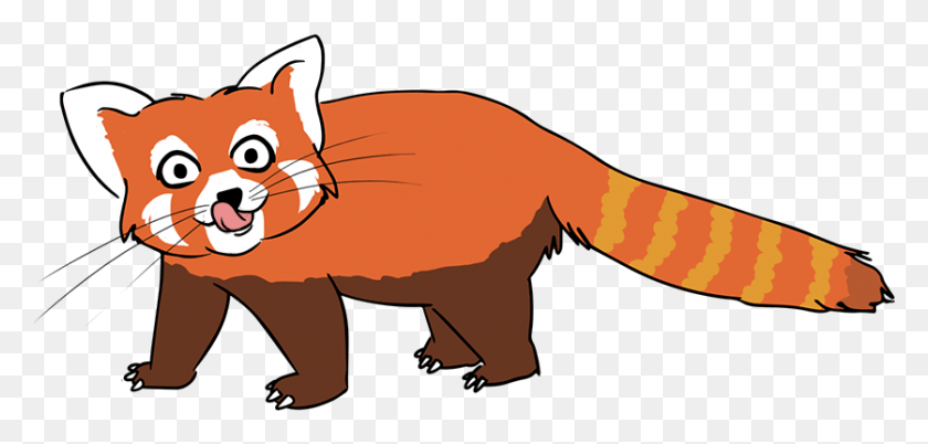 837x368 Free Stock Raccoon Clipart Happy Cartoon Red Panda Clipart, Mammal, Animal, Wildlife HD PNG Download