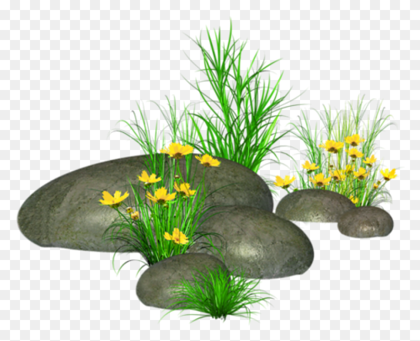 810x646 Free Stones With Grass And Yellow Flowers Images Stone Clipart Rocks, Water, Aquatic, Sea Life HD PNG Download