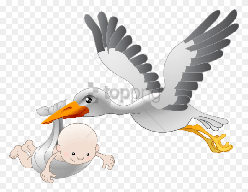 850x645 Free Stork Baby Image With Transparent Background Stork Baby, Toy, Bird, Animal HD PNG Download