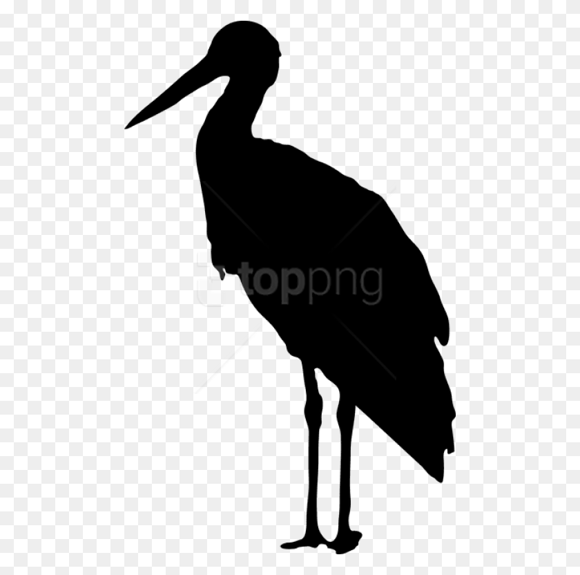 480x772 Free Stork Silhouette Images Background Stork Black And White, Bird, Animal HD PNG Download