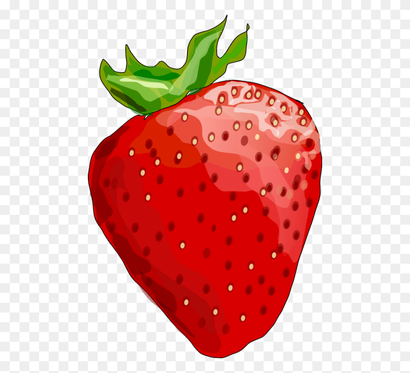 480x704 Free Strawberry Images Transparent Berry Clipart, Fruit, Plant, Food HD PNG Download