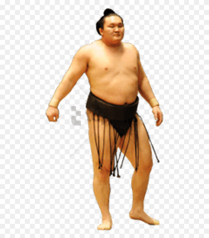 480x897 Free Sumo Wrestler Standing Images Sumo Wrestler Standing, Person, Human, Back HD PNG Download