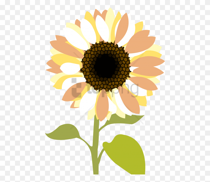 480x665 Free Sunflower Clipart Image With Transparent Peace Love And Mercy, Plant, Flower, Blossom HD PNG Download