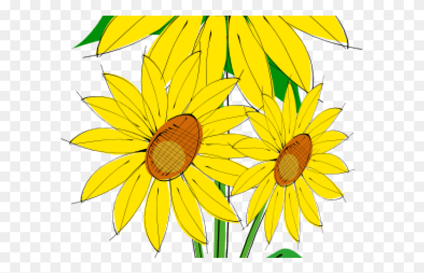 601x481 Free Sunflower Clipart Sunflower Clip Art, Plant, Treasure Flower, Flower HD PNG Download