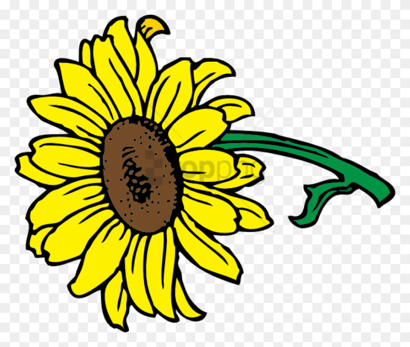 850x709 Free Sunflower Vector Image With Transparent Sunflower Clipart Only, Plant, Banana, Fruit HD PNG Download