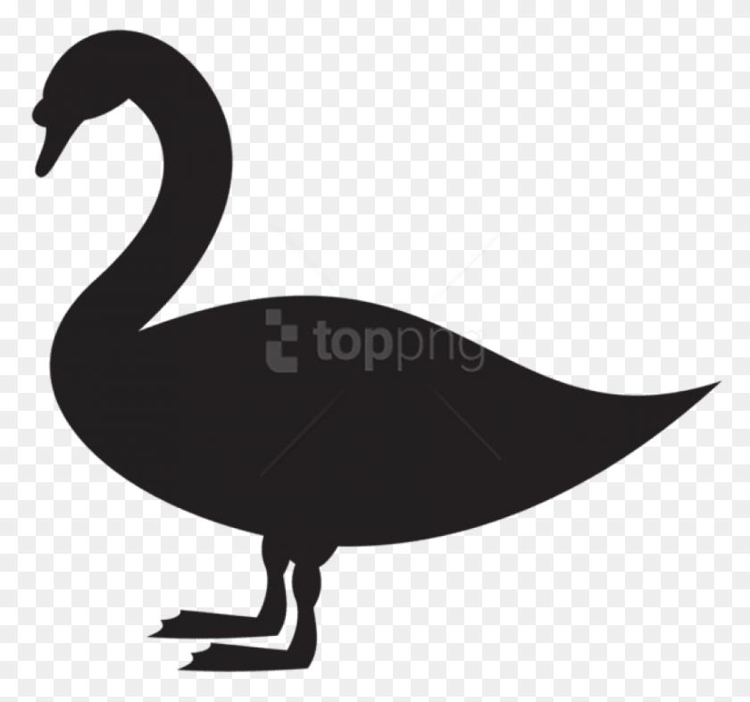 850x792 Силуэт Лебедя Черный Лебедь, Водоплавающие Птицы, Птица, Животное Hd Png Скачать