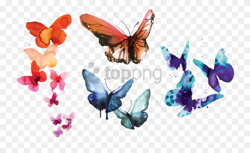 850x498 Free Tattly Temporary Tattoos Watercolor Butterflies Watercolor Butterfly, Bird, Animal, Graphics HD PNG Download