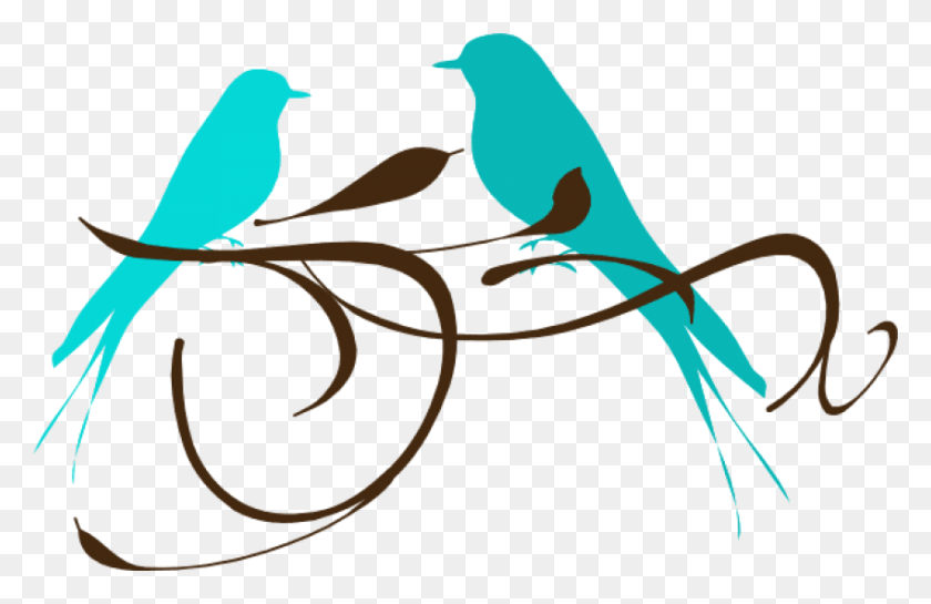 850x529 Free Teal Love Birds Images Background Teal Love Birds Clipart, Bird, Animal, Canary HD PNG Download