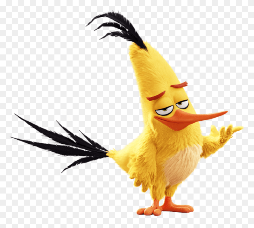 814x725 Free The Angry Birds Movie Chuck Images Transparent Angry Birds Chuck, Bird, Animal, Chicken HD PNG Download