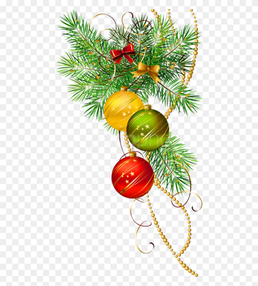 480x873 Free Three Christmas Balls With Pine Branch Christmas Decor Vector, Tree, Plant, Conifer HD PNG Download
