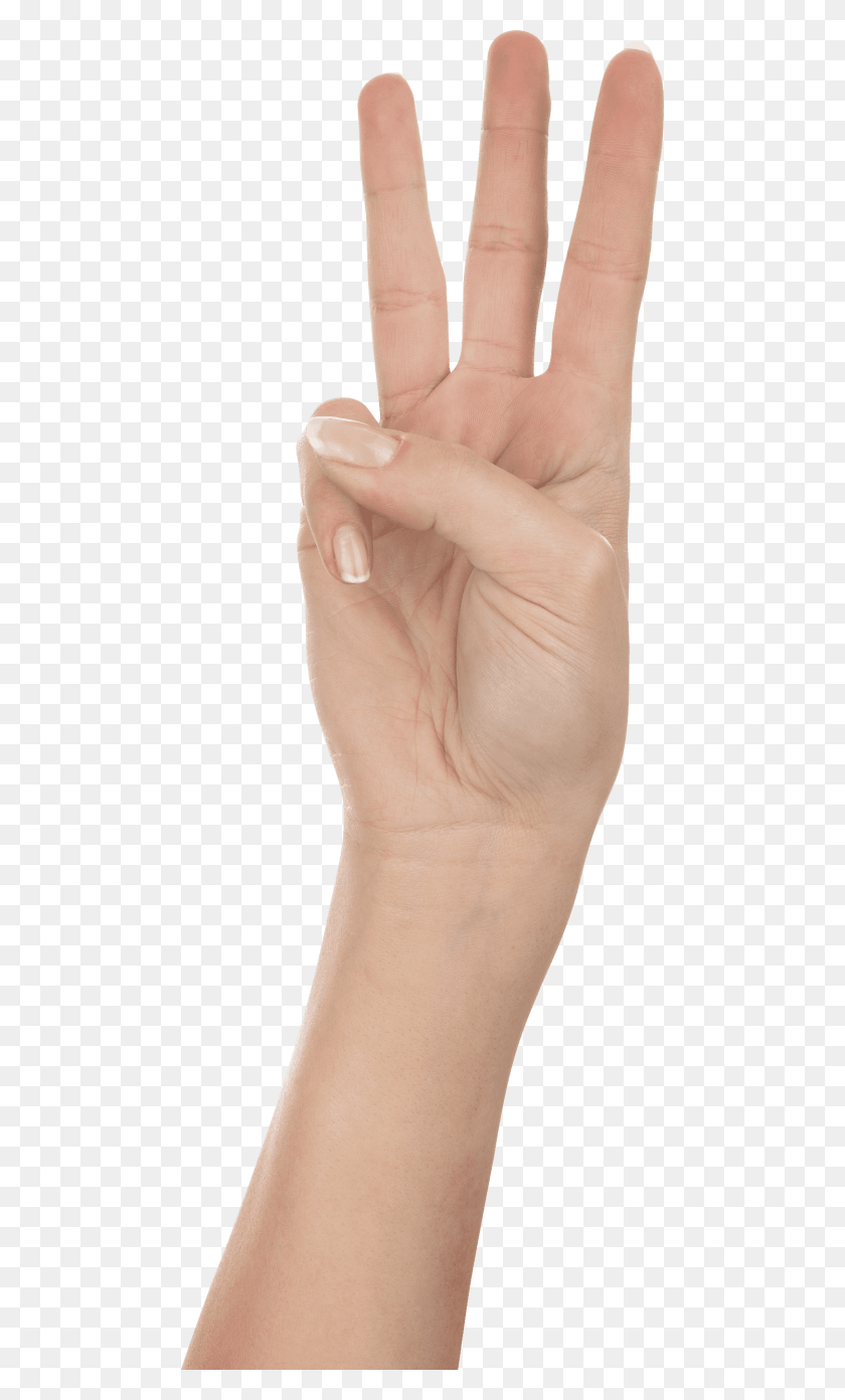 480x1332 Free Three Finger Hand Images Background Hand Three, Wrist, Person, Human HD PNG Download