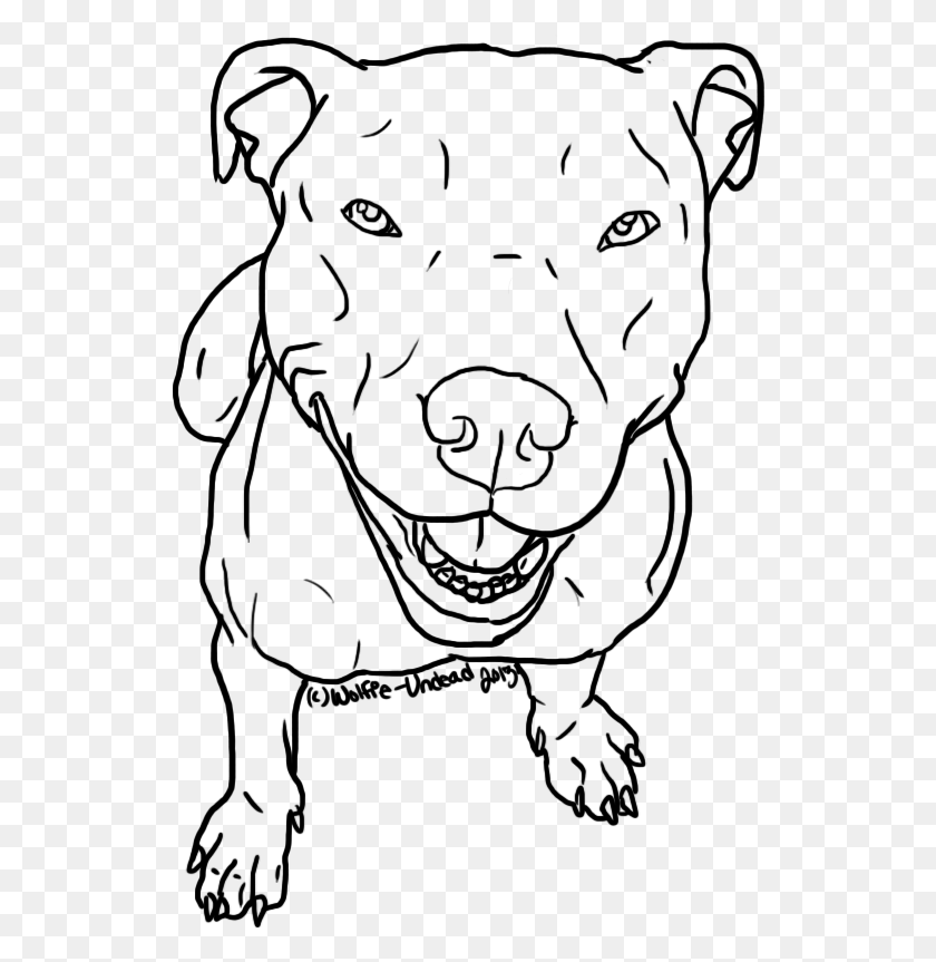 534x803 Free To Use Pit Bull Lineart Please Pit Bull Smile Drawing, Gray, World Of Warcraft HD PNG Download