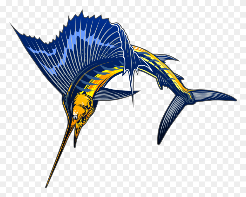 814x640 Free To Use Public Domain Fish Clip Art Sailfish Transparent, Bird, Animal, Sea Life Hd Png Скачать