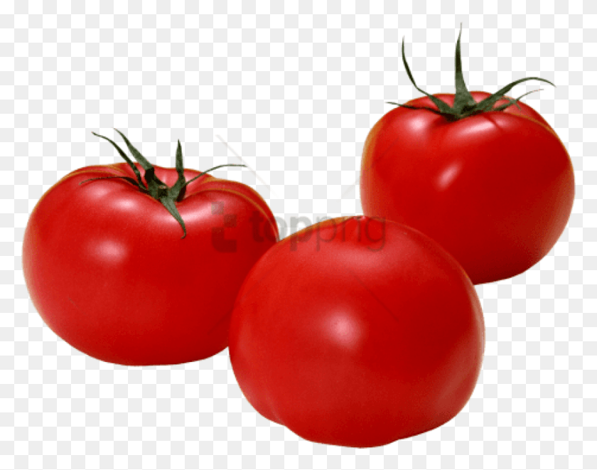 850x656 Free Tomato Images Background, Plant, Vegetable, Food HD PNG Download
