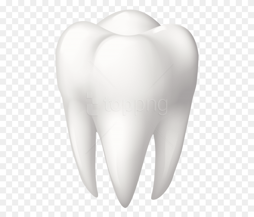 475x658 Free Tooth Molar Clipart Photo Transparent Tooth, Mammal, Animal, Pottery HD PNG Download