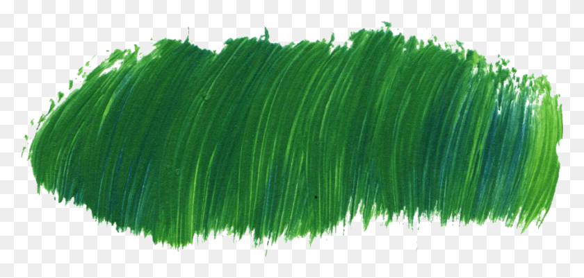 896x392 Free Transparent Background Green Aesthetic, Leaf, Plant, Vegetation HD PNG Download