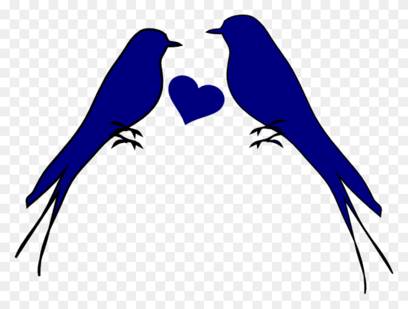 850x629 Descargar Png Fondo Transparente Amor Imágenes Dos Pájaros Con Corazón, Pájaro, Animal Hd Png