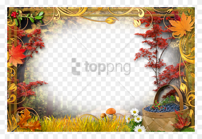 850x567 Free Transparent Fall Frames Image With Transparent Mix Frames, Plant, Leaf, Tree HD PNG Download