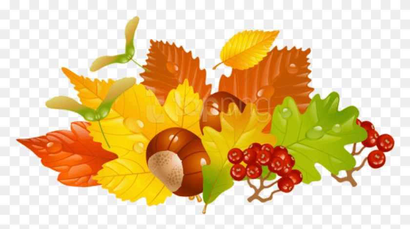 820x431 Free Transparent Fall Leaves And Chestnuts Transparent Fall Wreaths Clip Art, Leaf, Plant, Food HD PNG Download