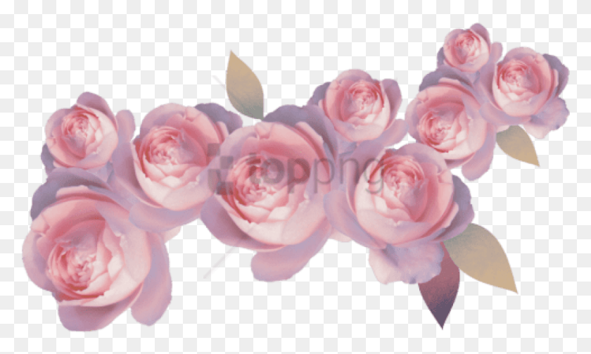 831x472 Free Transparent Flower Crown Red Image With Pink Pastel Flower, Plant, Rose, Blossom HD PNG Download