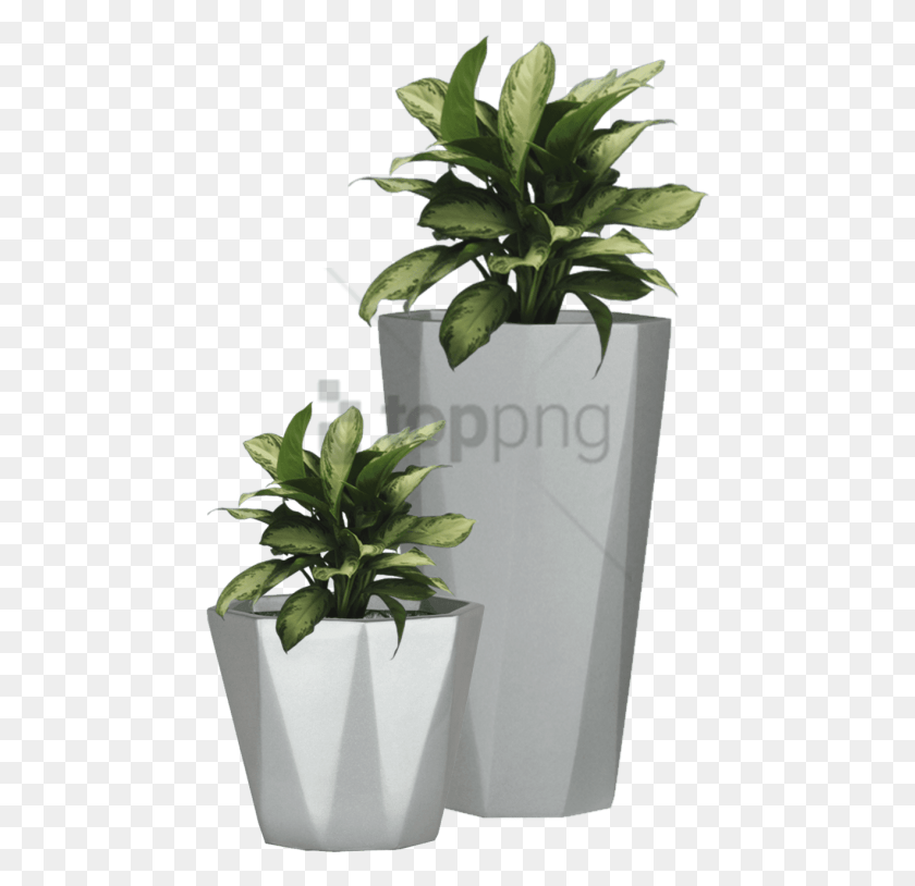 464x754 Free Transparent Flower Pot Image With Transparent Plants In Pot, Potted Plant, Plant, Vase HD PNG Download