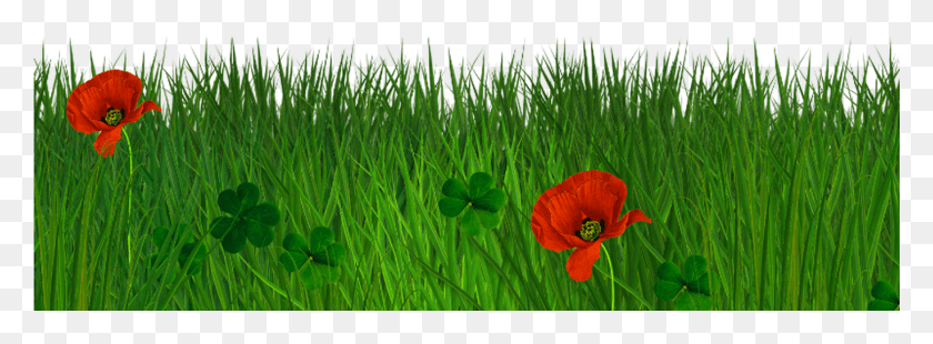 1369x440 Free Transparent Grass Texture Seamless Portable Network Graphics, Plant, Flower, Blossom HD PNG Download