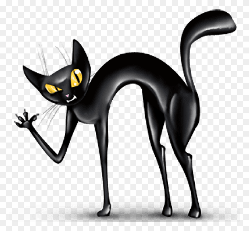 851x784 Free Transparent Haunted Black Cat Crazy Cat, Pet, Mammal, Animal HD PNG Download