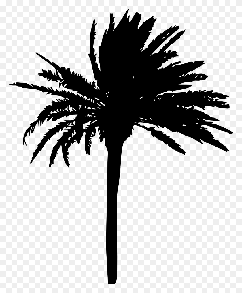 1223x1500 Free Transparent Palm Tree Silhouette, Tree, Plant, Arecaceae HD PNG Download