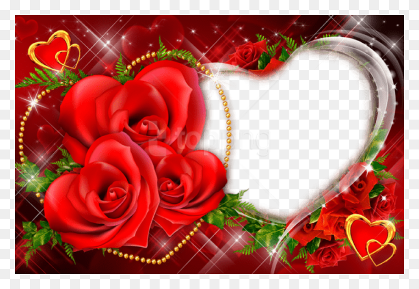 850x567 Free Transparent Red Roses Heart Frame Background Love Frames For Photos Free, Rose, Flower, Plant HD PNG Download