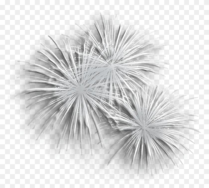 821x733 Free Transparent Silver Fireworks Clipart Transparent Background White Fireworks, Nature, Outdoors, Night HD PNG Download