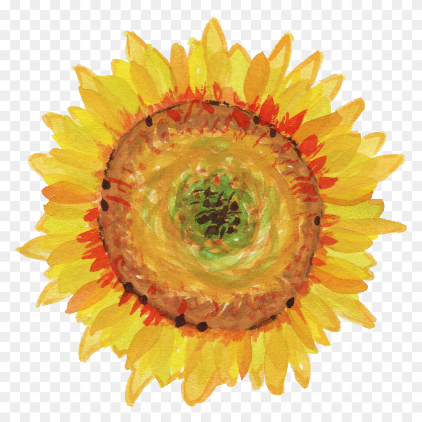 950x949 Free Transparent Watercolor Sunflowers, Plant, Flower, Blossom HD PNG Download