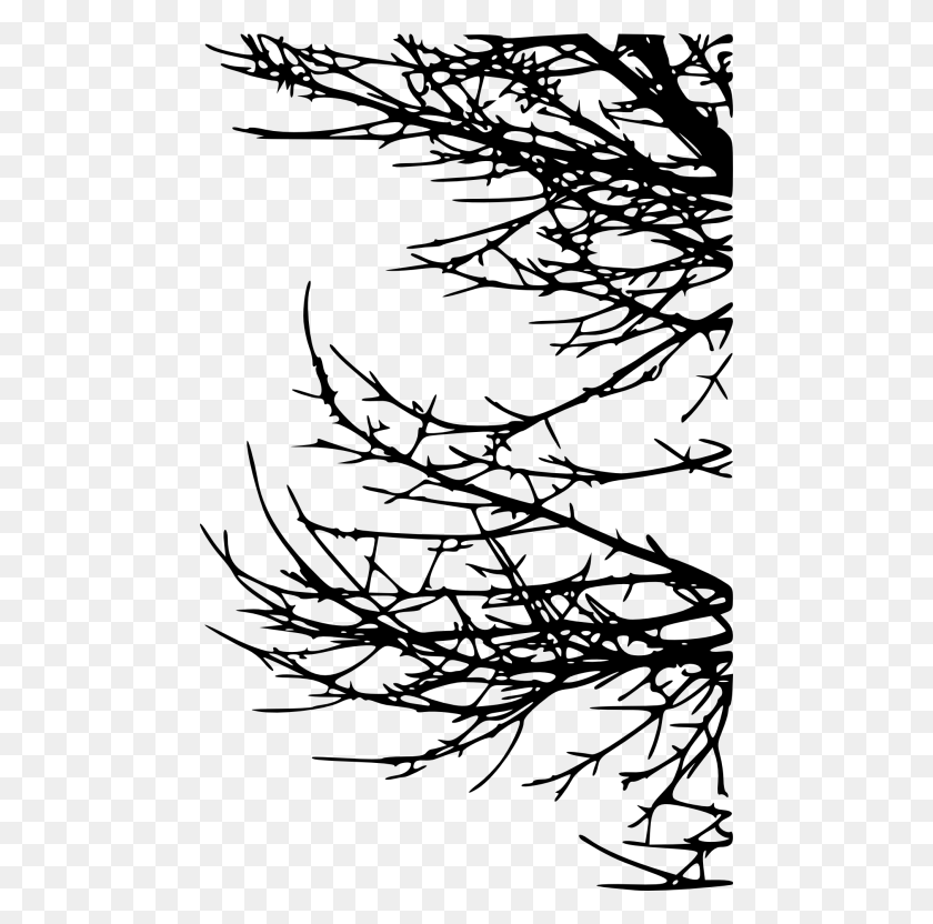 480x772 Free Tree Branch Line Art, Растение, Дерево Hd Png Скачать
