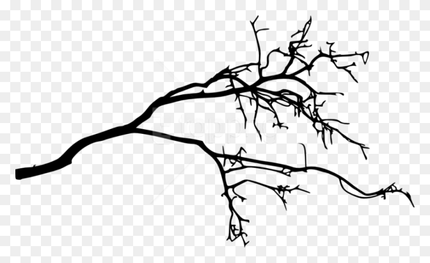 850x494 Free Tree Branch Silhouette Images Transparent Tree Branch Transparent Background, Animal, Swordfish, Sea Life HD PNG Download