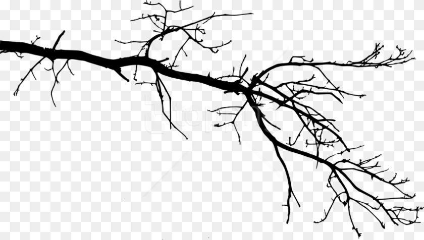 850x482 Free Tree Branch Tree Branch Drawing Transparent, Art, Person Clipart PNG