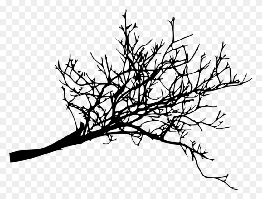 850x631 Free Tree Branches Silhouette Images Transparent Dead Tree Branches, Plant, Nature, Outdoors HD PNG Download