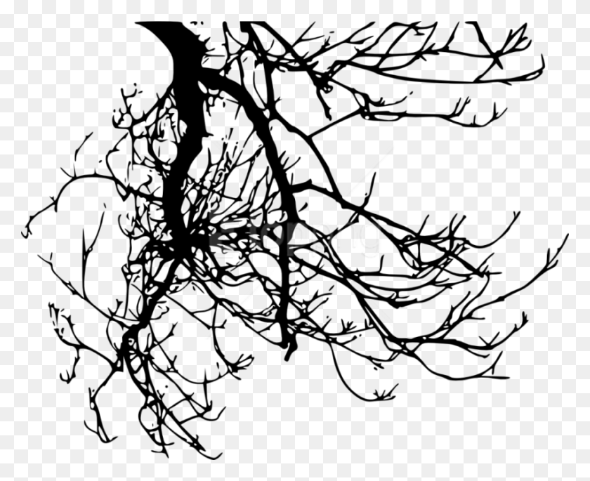 850x682 Free Tree Branches Silhouette Images Transparent Tree Branches Transparent Background, Plant, Root HD PNG Download
