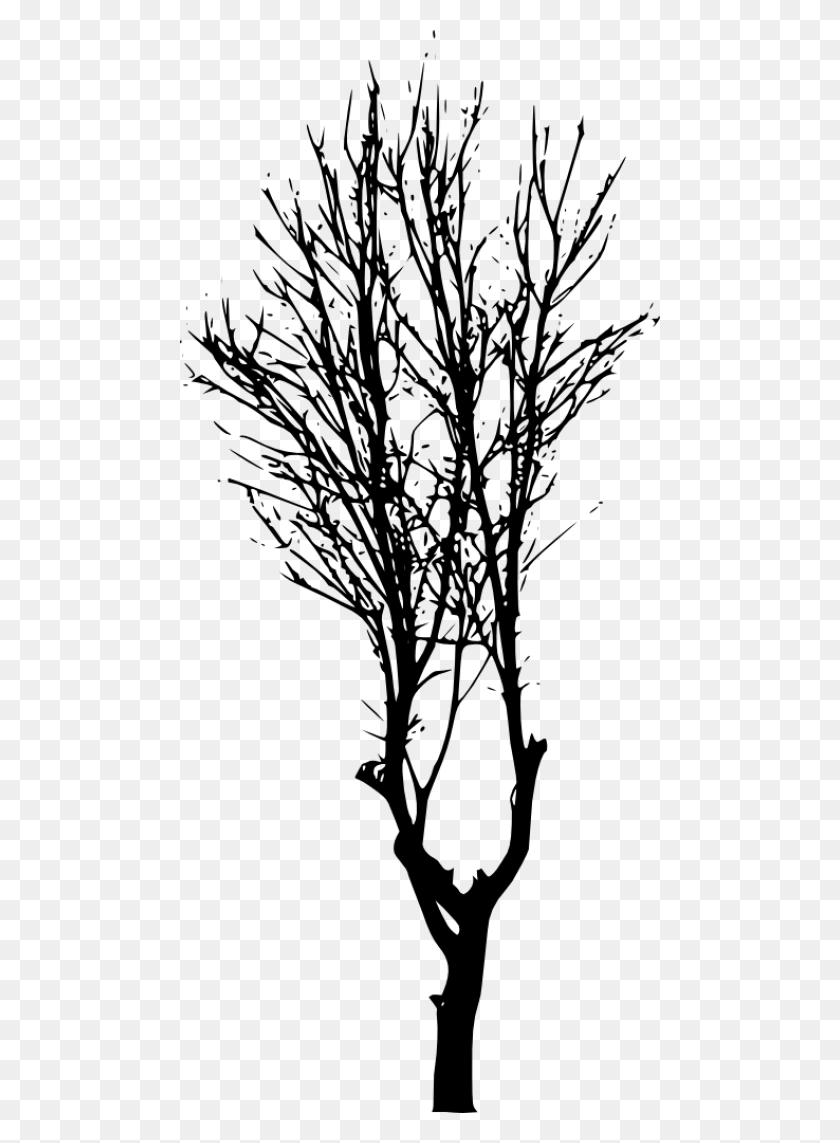 480x1083 Free Tree Silhouette Trees Silhouettes No Background, Tree, Plant HD PNG Download