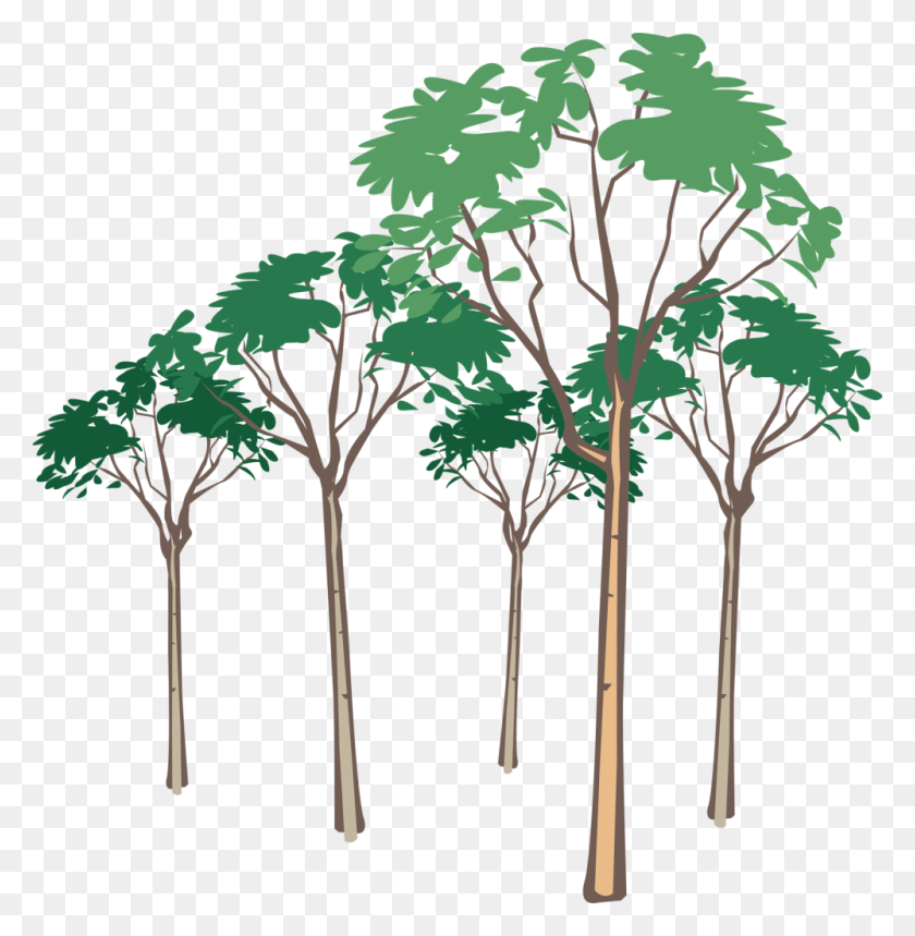 999x1024 Free Tree Vector Art Африканское Животное Ночь, Дерево, Растение, Пальма Hd Png Скачать