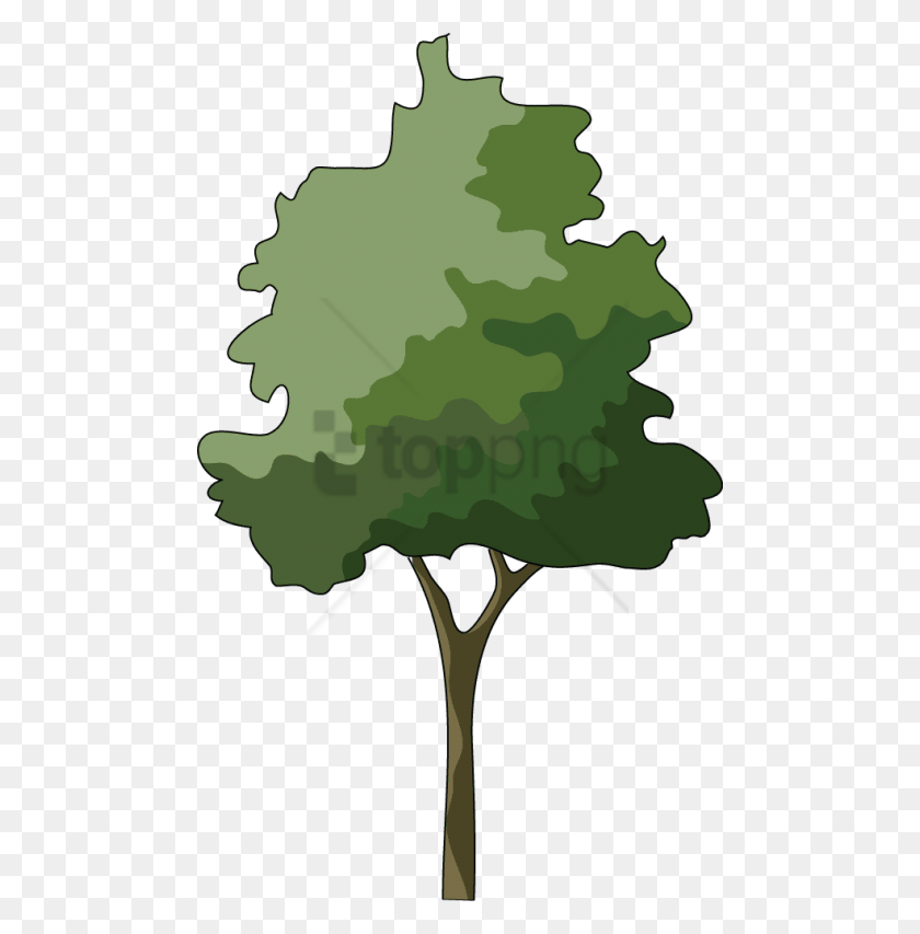 480x793 Free Trees In Elevation For Photoshop Image Tree Elevation, Plant, Bonfire, Flame HD PNG Download