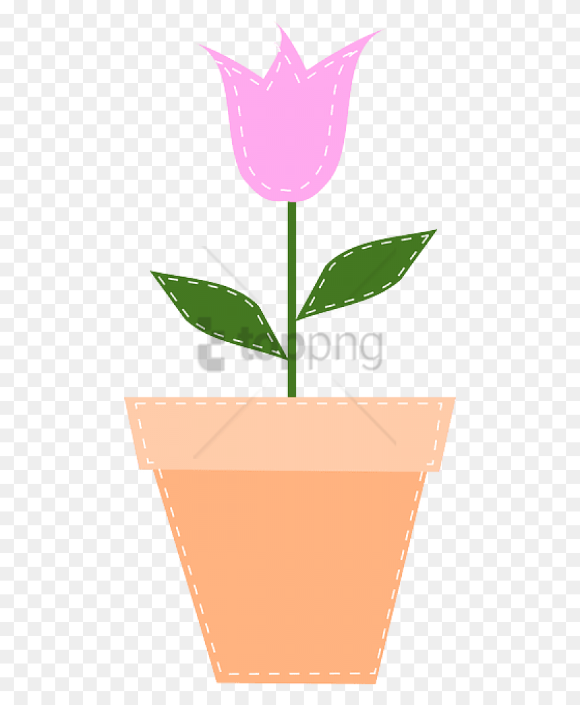 480x960 Free Tulip March Flower Pink Spring Gift Pot Flower In Pot Illustration, Plant, Blossom, Box HD PNG Download