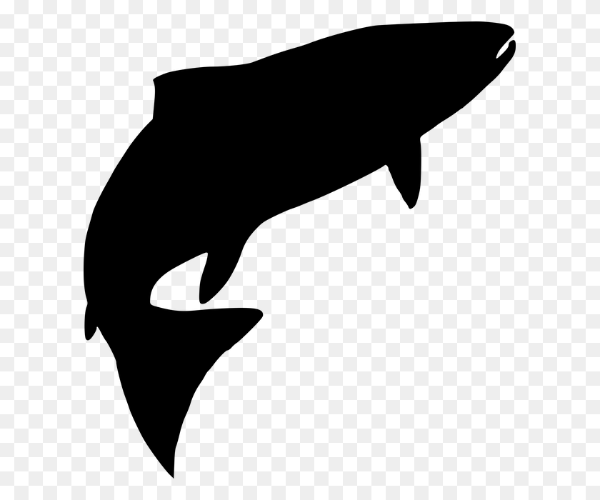 605x640 Free Tuna Silhouette, Gray, World Of Warcraft HD PNG Download