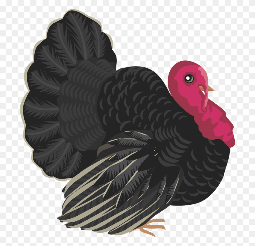 708x750 Free Turkey Clipart Banner Freeuse Turkey, Bird, Animal, Blackbird HD PNG Download