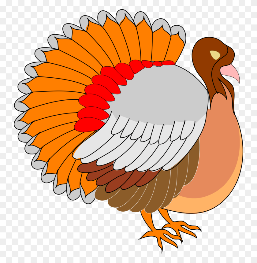 750x800 Free Turkey Clipart Images Amp Photos Download2018 Thanksgiving Clip Art, Bird, Animal, Fowl HD PNG Download